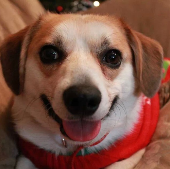 Welcome to my closet! - Picture 3 of 8